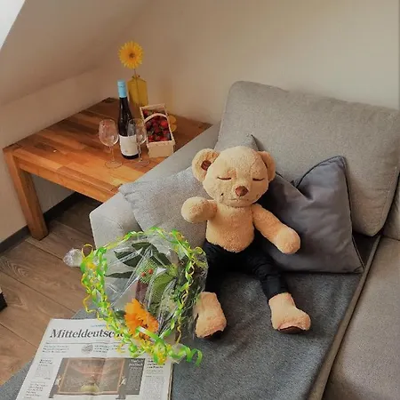 Lejlighed Turmblick-gaestequartier-coswig-hier-erwartet-sie-individueller-service-im-herzen-der-altstadt *