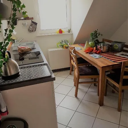 Apartament Turmblick-gaestequartier-coswig-hier-erwartet-sie-individueller-service-im-herzen-der-altstadt Coswig (Anhalt)