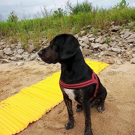 Turmblick-gaestequartier-coswig-hier-erwartet-sie-individueller-service-im-herzen-der-altstadt Apartament Coswig (Anhalt)