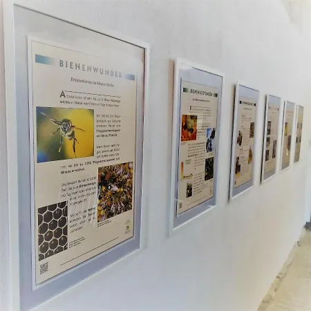 Apartament Turmblick-gaestequartier-coswig-hier-erwartet-sie-individueller-service-im-herzen-der-altstadt *