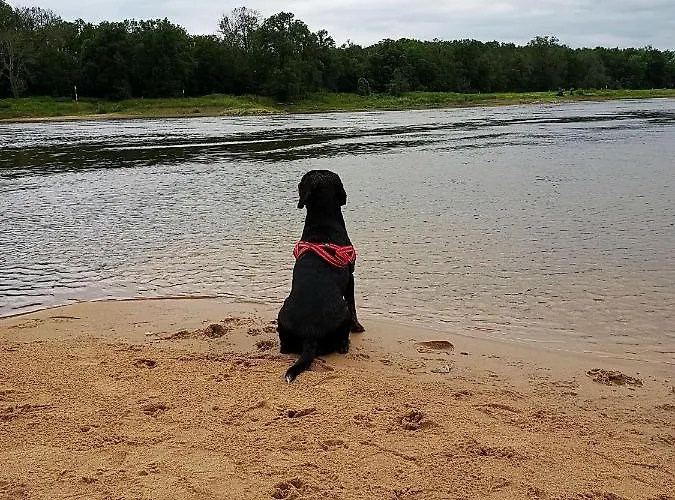 Turmblick-gaestequartier-coswig-hier-erwartet-sie-individueller-service-im-herzen-der-altstadt