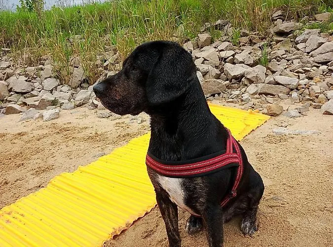 Turmblick-gaestequartier-coswig-hier-erwartet-sie-individueller-service-im-herzen-der-altstadt Lägenhet Coswig (Anhalt)