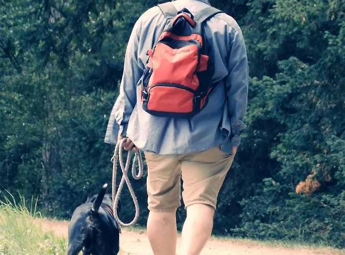 Lägenhet Turmblick-gaestequartier-coswig-hier-erwartet-sie-individueller-service-im-herzen-der-altstadt Coswig (Anhalt)