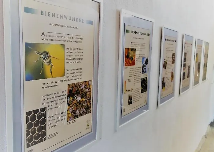 Lägenhet Turmblick-gaestequartier-coswig-hier-erwartet-sie-individueller-service-im-herzen-der-altstadt *